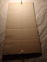 IMG_20240324_090406_1.jpg